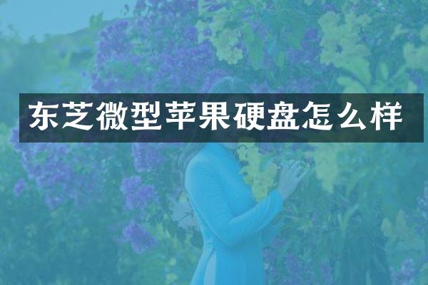 东芝微型苹果硬盘怎么样