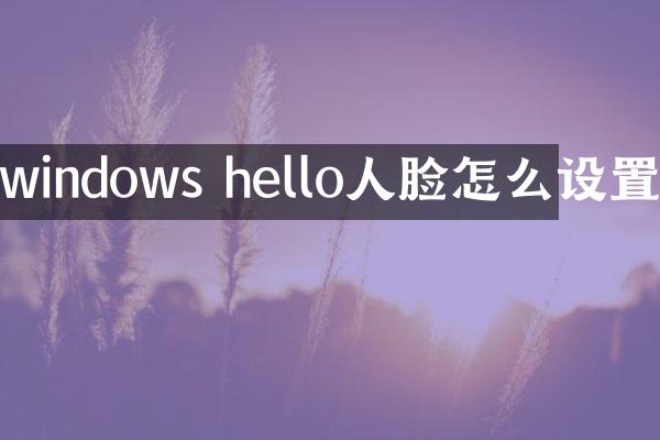 windows hello人脸怎么设置