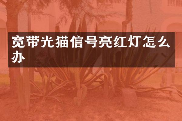 宽带光猫信号亮红灯怎么办