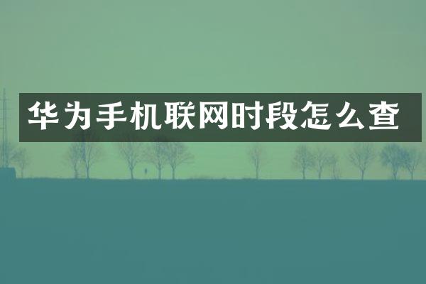 华为手机联网时段怎么查