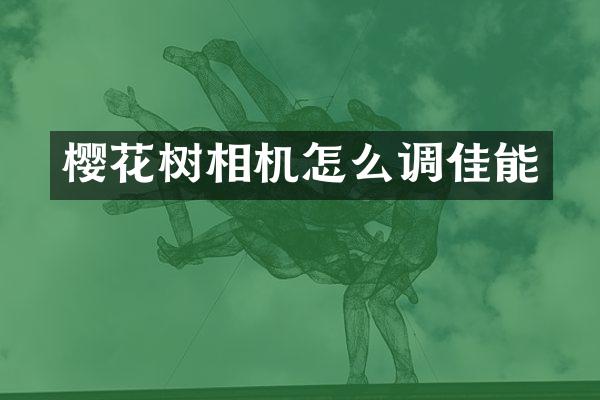 樱花树相机怎么调佳能