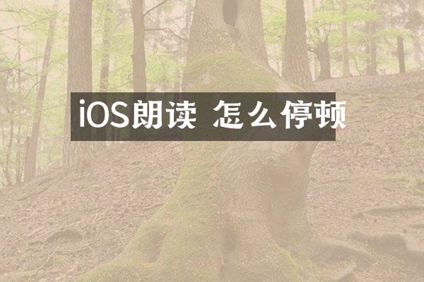 iOS朗读 怎么停顿
