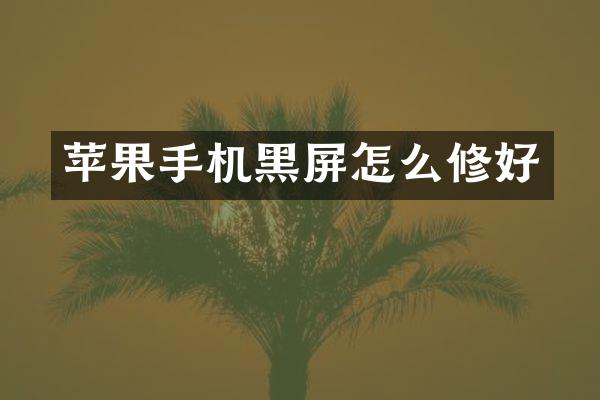 苹果手机黑屏怎么修好