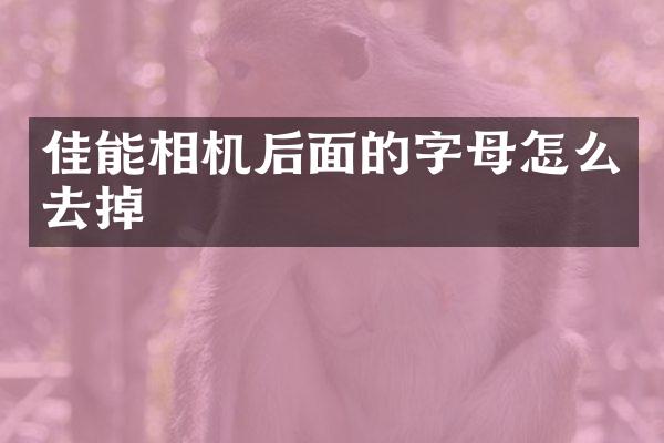 佳能相机后面的字母怎么去掉