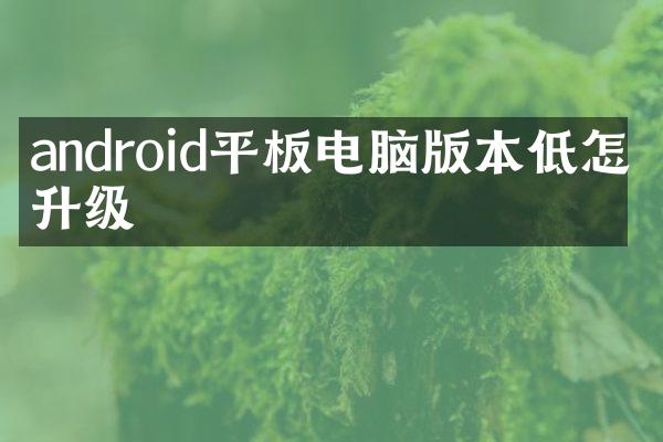 android平板电脑版本低怎么升级