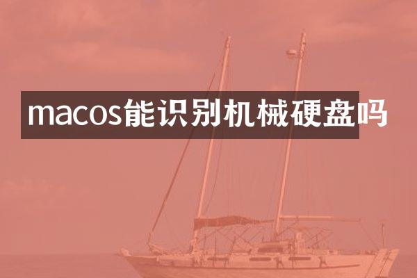 macos能识别机械硬盘吗