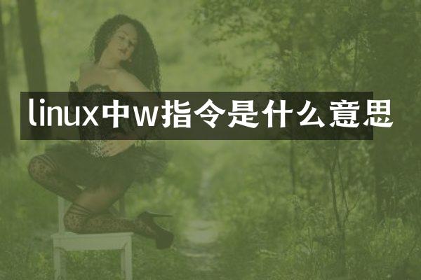 linux中w指令是什么意思