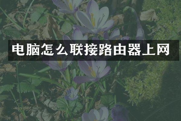 电脑怎么联接路由器上网
