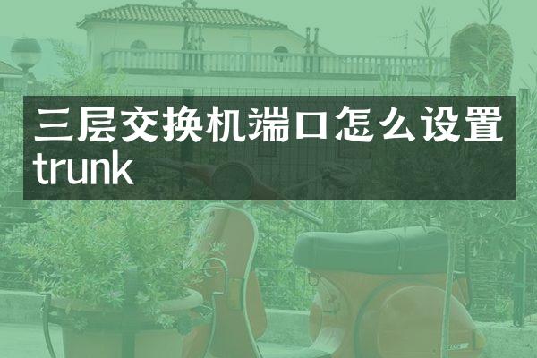 三层交换机端口怎么设置trunk