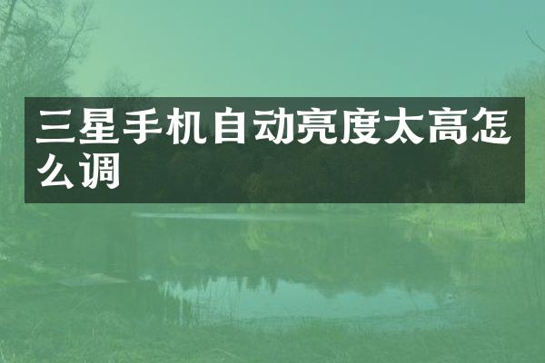 三星手机自动亮度太高怎么调