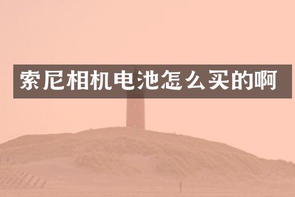 相机电池怎么买的啊