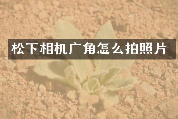 相机广角怎么拍照片