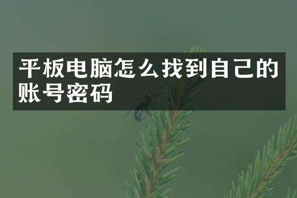 平板电脑怎么找到自己的账号密码
