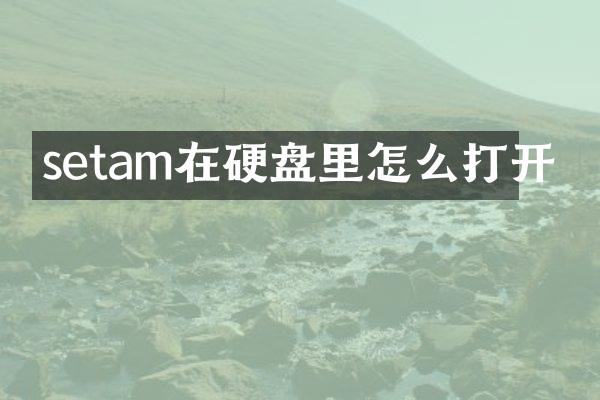 setam在硬盘里怎么打开