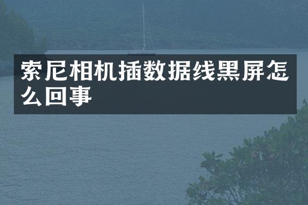 相机插数据线黑屏怎么回事