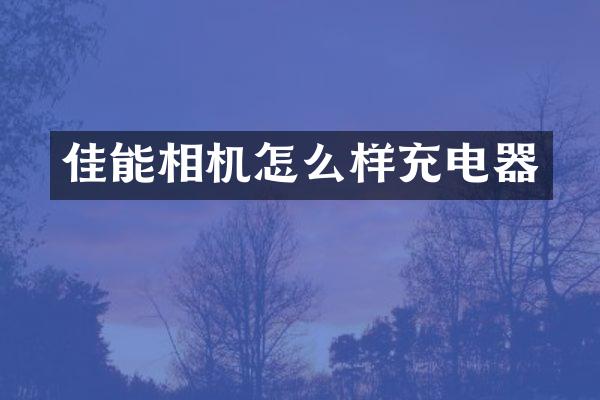 佳能相机怎么样充电器