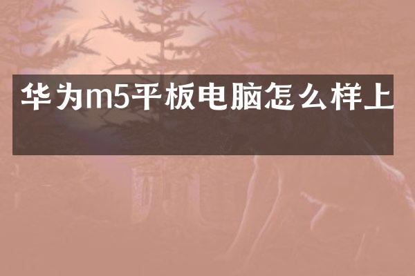 华为m5平板电脑怎么样上网