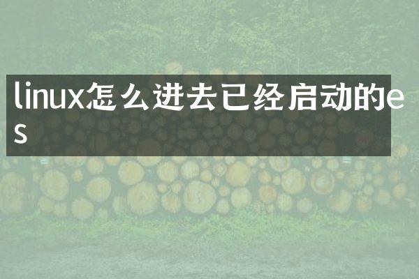 linux怎么进去已经启动的es