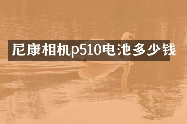 尼康相机p510电池多少钱