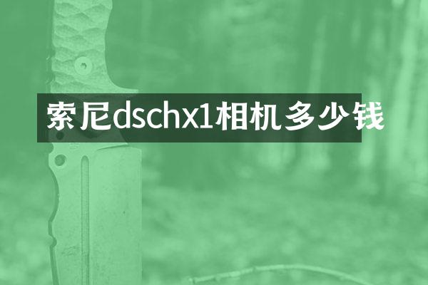 dschx1相机多少钱
