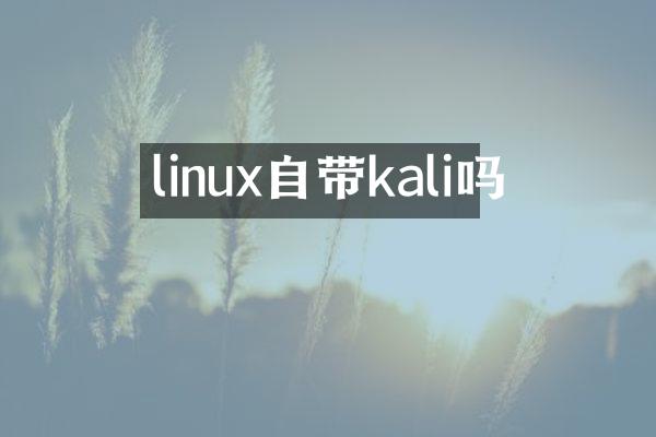 linux自带kali吗