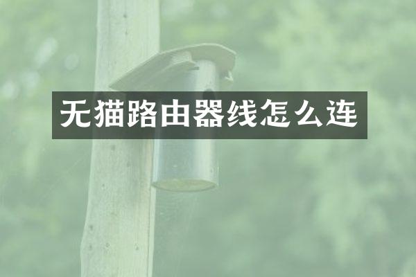 无猫路由器线怎么连