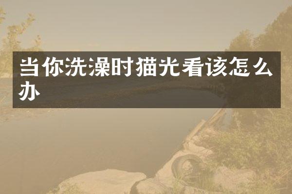 当你洗澡时猫光看该怎么办