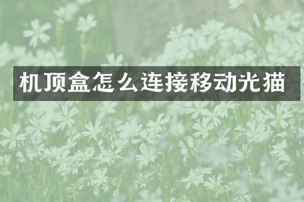 机顶盒怎么连接移动光猫