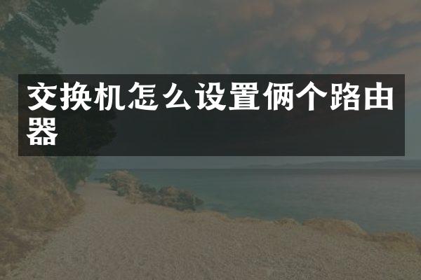 交换机怎么设置俩个路由器