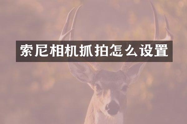 相机抓拍怎么设置