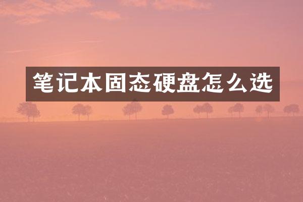 笔记本固态硬盘怎么选