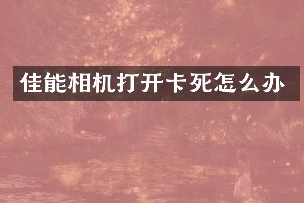 佳能相机打开卡死怎么办