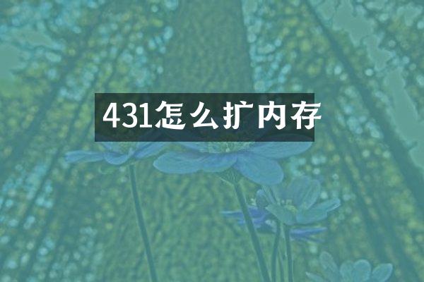 431怎么扩内存