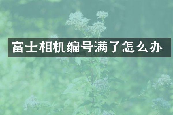 富士相机编号满了怎么办
