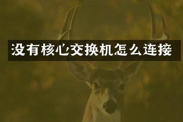 没有核心交换机怎么连接