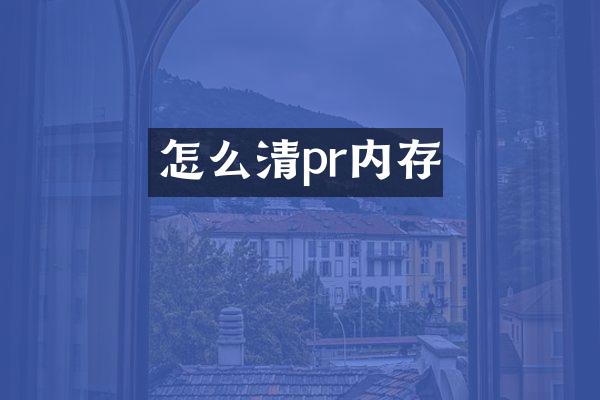 怎么清pr内存