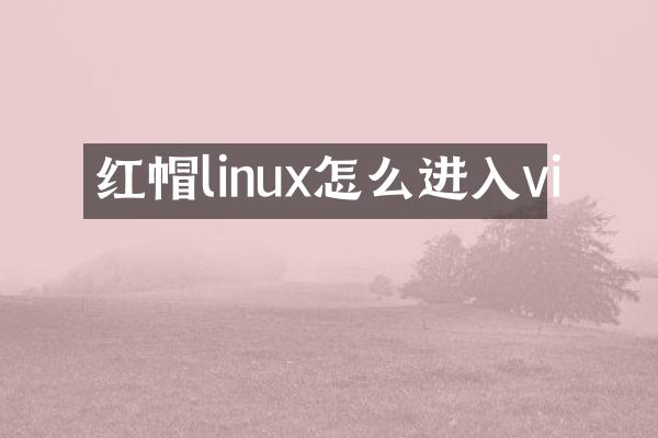 红帽linux怎么进入vi