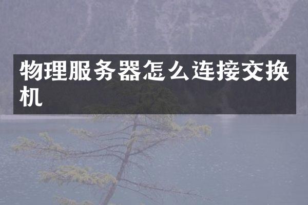 物理服务器怎么连接交换机