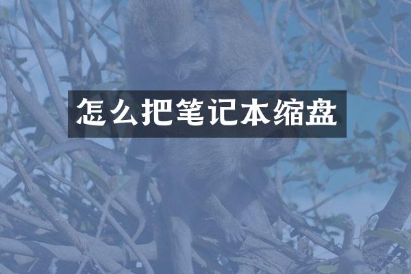 怎么把笔记本缩盘