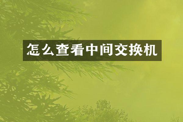 怎么查看中间交换机