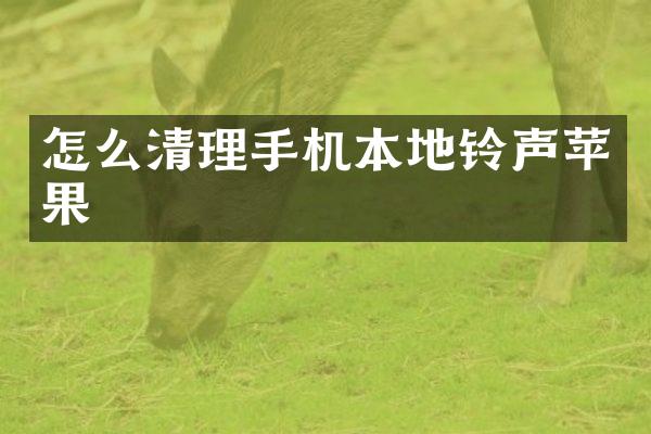 怎么清理手机本地铃声苹果