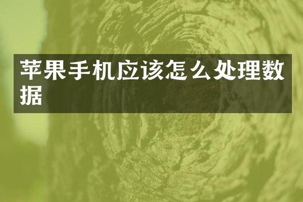 苹果手机应该怎么处理数据