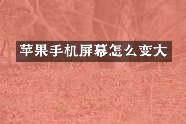 苹果手机屏幕怎么变大