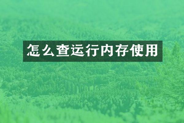 怎么查运行内存使用