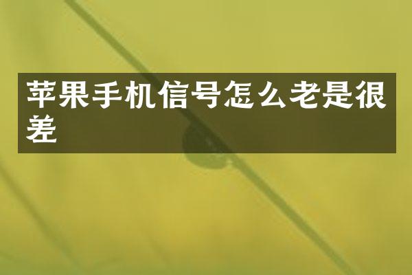 苹果手机信号怎么老是很差