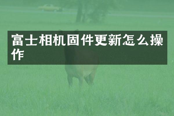 富士相机固件更新怎么操作