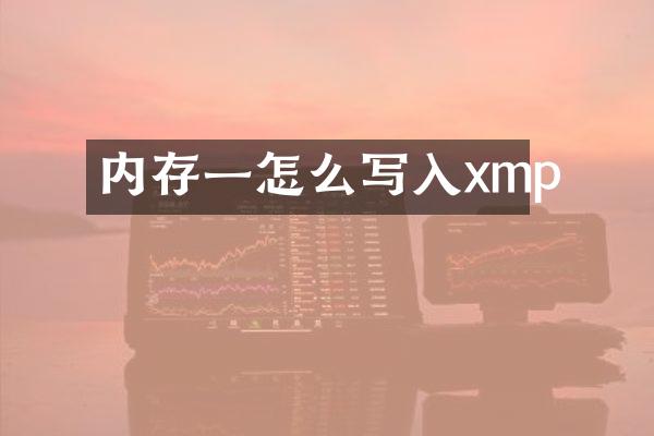 内存一怎么写入xmp