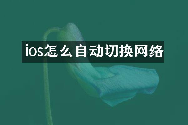 ios怎么自动切换网络