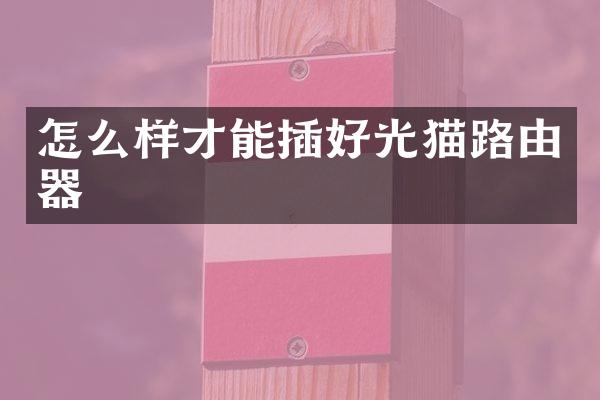 怎么样才能插好光猫路由器