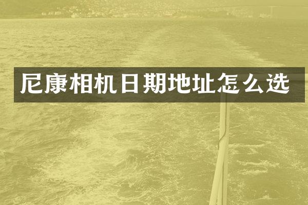 尼康相机日期地址怎么选